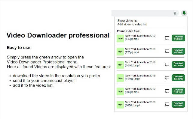 Video Downloader Professional