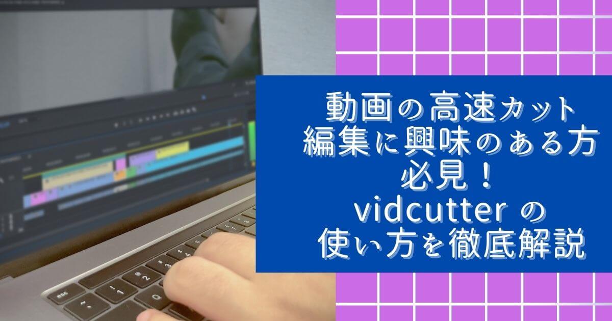 動画の高速カット編集に興味のある方必見！vidcutter の使い方を徹底解説