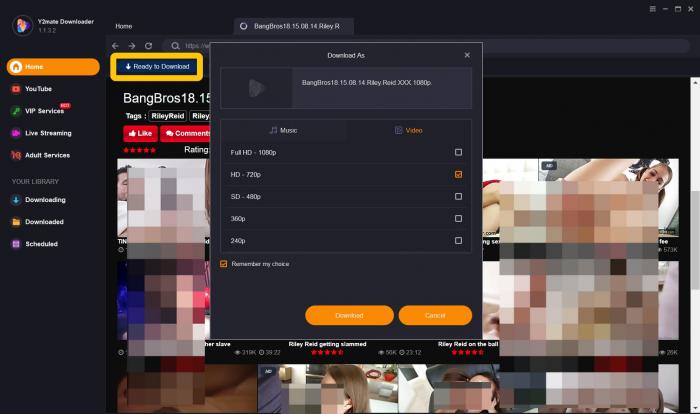 How to Download Video from YouJizz with Different Downloaders